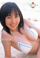中川美樹の水着